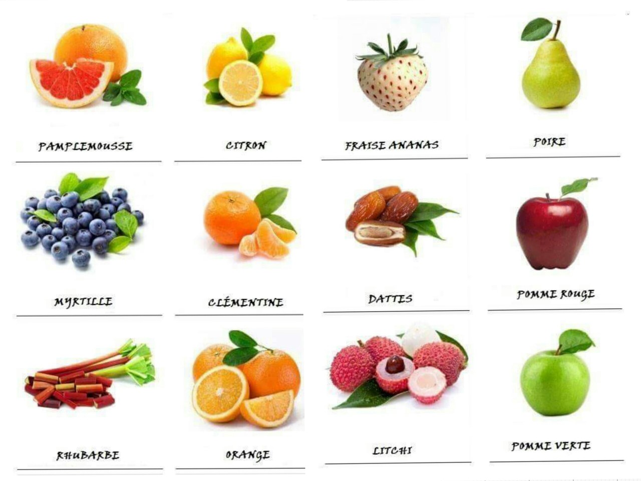 VAMOS APRENDER FRANCÊS! FRUTAS 4 As Nossas Voltas