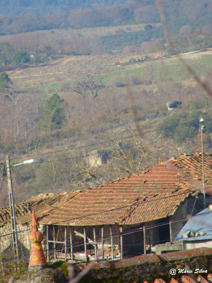 DSC01134ms.JPG DSC01134ms.JPG