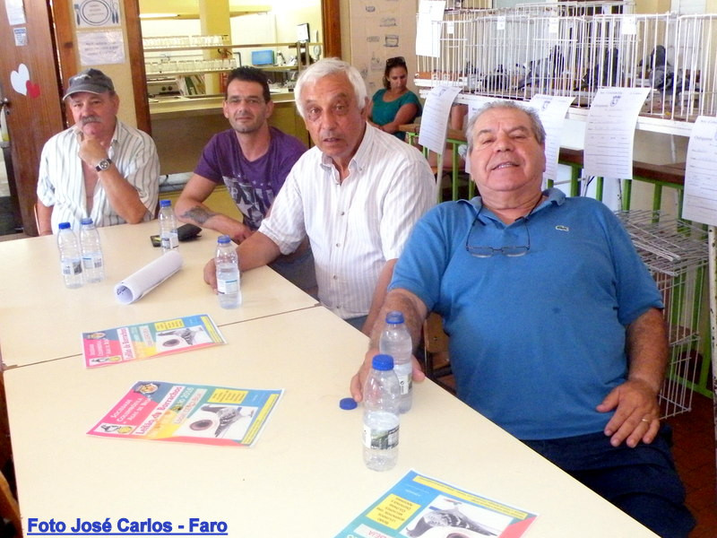 Leilão de Ourique 2016 020.JPG Leilão de Ourique 2016 020.JPG