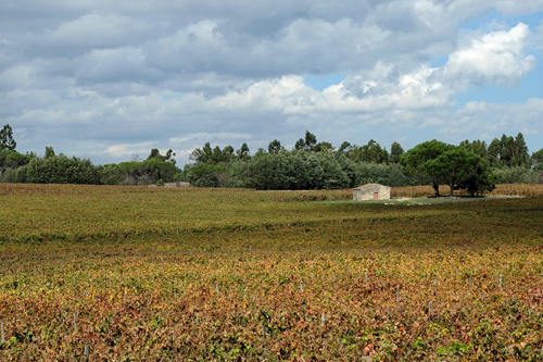 Blogue_paisagem16_VNTázem2015_v2.jpg Blogue_paisagem16_VNTázem2015_v2.jpg