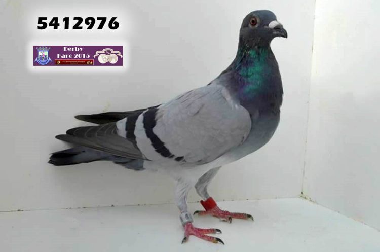 5412976.jpg 5412976.jpg