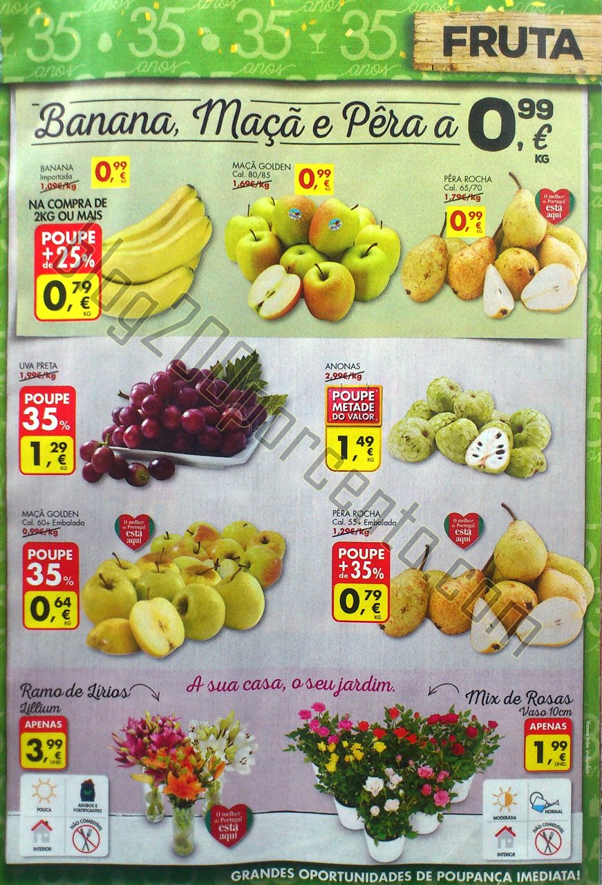 Antevisão folheto Pingo Doce