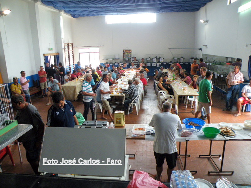 Leilão Luz Tavira 2015 079.JPG Leilão Luz Tavira 2015 079.JPG