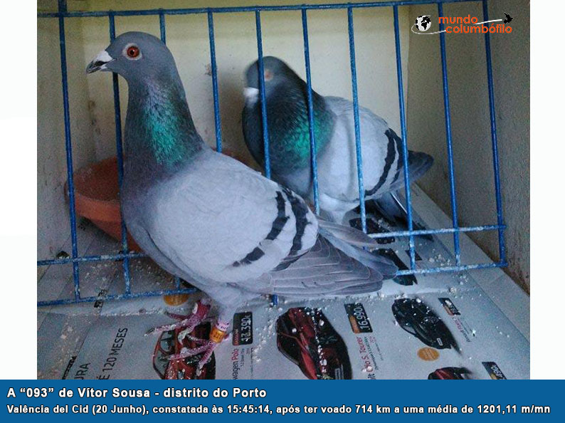 Valença 17.jpg Valença 17.jpg